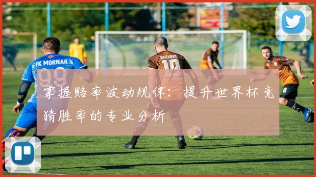 掌握赔率波动规律：提升世界杯竞猜胜率的专业分析
