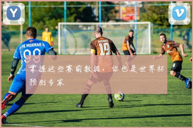 掌握这些赛前数据，你也是世界杯预测专家