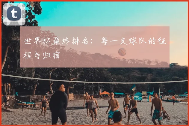 世界杯最终排名：每一支球队的征程与归宿