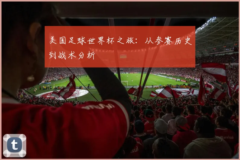 美国足球世界杯之旅：从参赛历史到战术分析